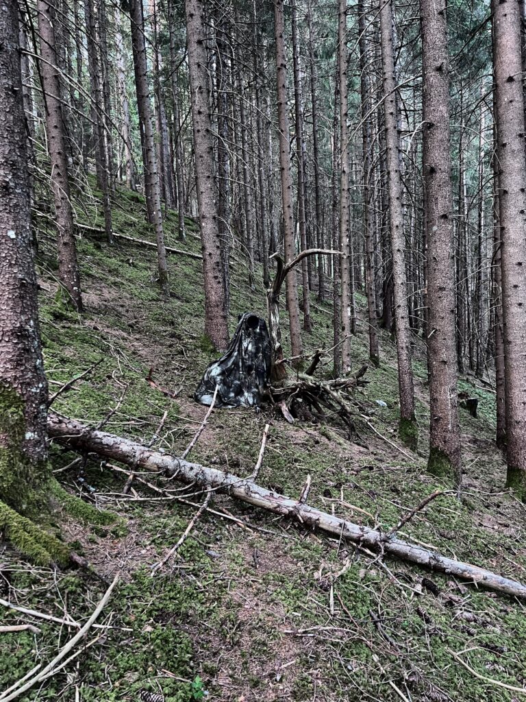 Gut getarnt im Wald